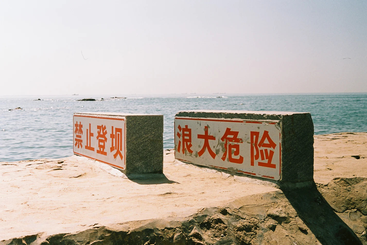 Reflx Lab Pro 100 Color Negative Film 36EXP